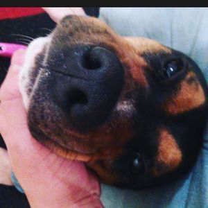 Meet your Posher, Jason